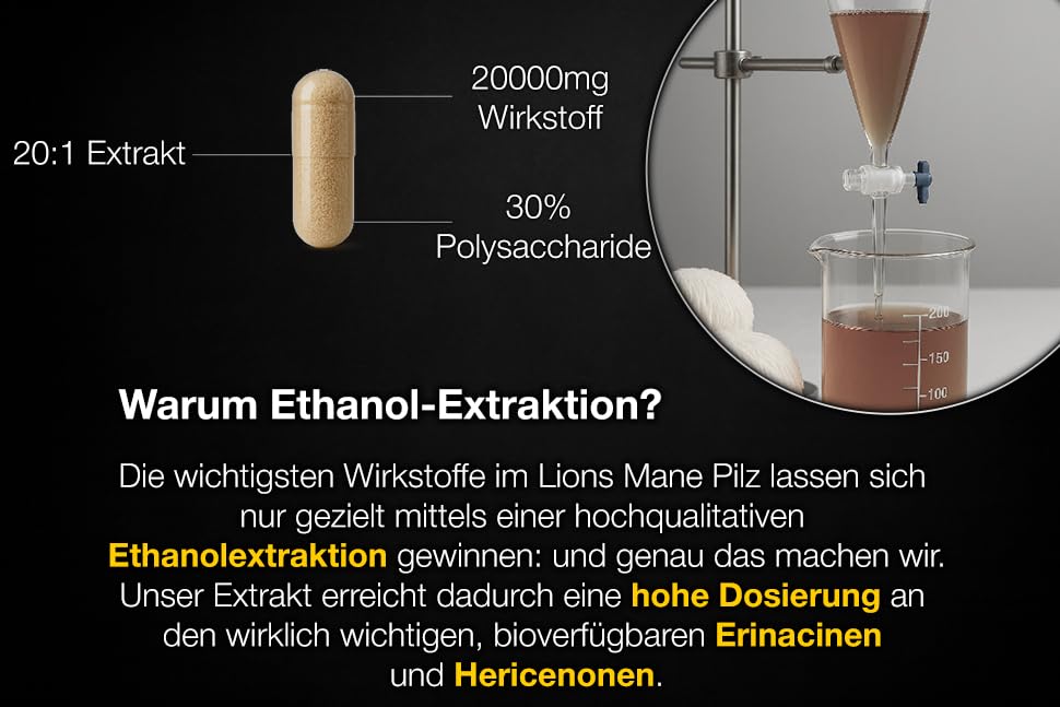 Lion’s Mane Ethanol-Extrakt 20:1 für Fokus & Konzentration